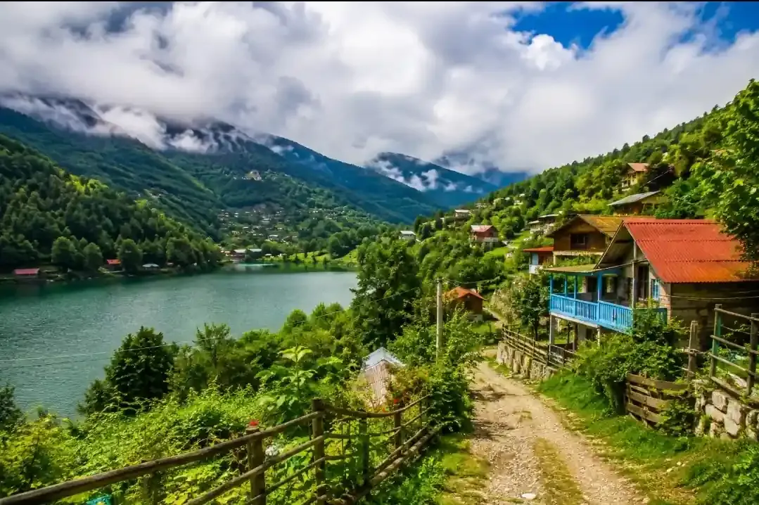 شمال چت | گفتگوی کاربران شمالی و آشنایی با شهرهای شمال ایران